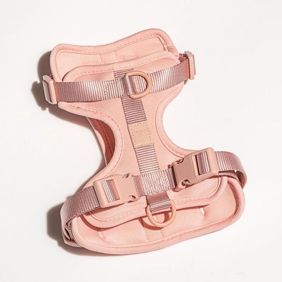 Wild one Harness xs for dogs - Picture 1 of 4